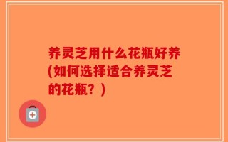 养灵芝用什么花瓶好养(如何选择适合养灵芝的花瓶？)