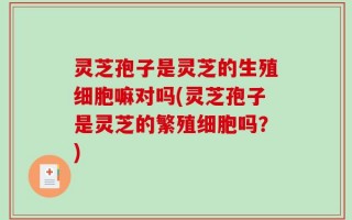 灵芝孢子是灵芝的生殖细胞嘛对吗(灵芝孢子是灵芝的繁殖细胞吗？)