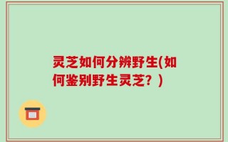 灵芝如何分辨野生(如何鉴别野生灵芝？)