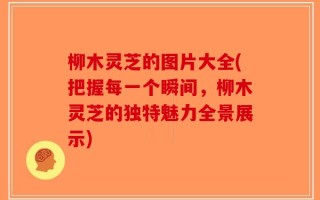 柳木灵芝的图片大全(把握每一个瞬间，柳木灵芝的独特魅力全景展示)