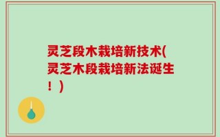 灵芝段木栽培新技术(灵芝木段栽培新法诞生！)