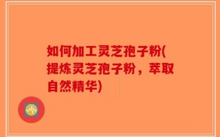 如何加工灵芝孢子粉(提炼灵芝孢子粉，萃取自然精华)
