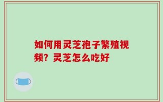 如何用灵芝孢子繁殖视频？灵芝怎么吃好