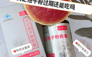 灵芝孢子粉开封后多久过期，过期了还能吃吗