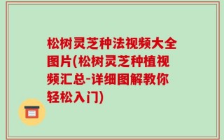松树灵芝种法视频大全图片(松树灵芝种植视频汇总-详细图解教你轻松入门)