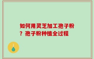 如何用灵芝加工孢子粉？孢子粉种植全过程