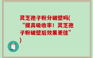 灵芝孢子粉分破壁吗(“提高吸收率！灵芝孢子粉破壁后效果更佳”)