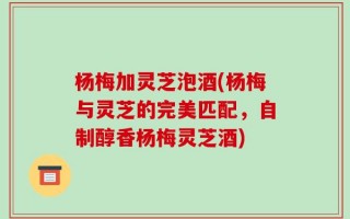 杨梅加灵芝泡酒(杨梅与灵芝的完美匹配，自制醇香杨梅灵芝酒)