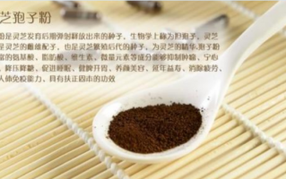 食欲不好怎么调理效果好？