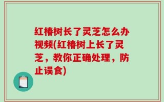 红椿树长了灵芝怎么办视频(红椿树上长了灵芝，教你正确处理，防止误食)
