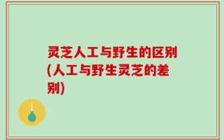 灵芝人工与野生的区别(人工与野生灵芝的差别)