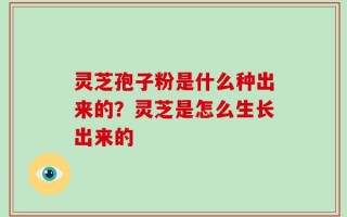 灵芝孢子粉是什么种出来的？灵芝是怎么生长出来的
