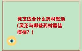 灵芝适合什么药材煲汤(灵芝与哪些药材最佳搭档？)
