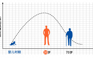 软骨素和氨糖的区别？