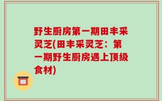 野生厨房第一期田丰采灵芝(田丰采灵芝：第一期野生厨房遇上顶级食材)