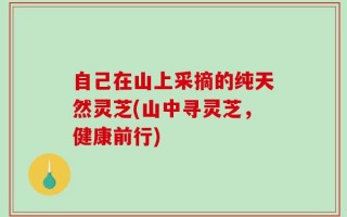 自己在山上采摘的纯天然灵芝(山中寻灵芝，健康前行)