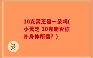 10克灵芝是一朵吗(小灵芝 10克能否弥补身体所需？)
