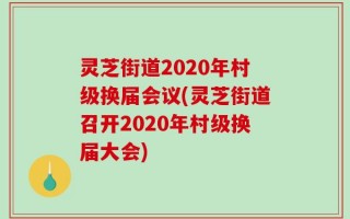 灵芝街道2020年村级换届会议(灵芝街道召开2020年村级换届大会)