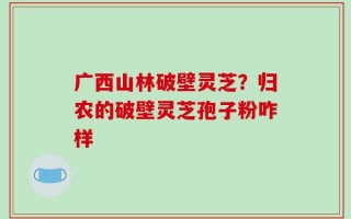 广西山林破壁灵芝？归农的破壁灵芝孢子粉咋样