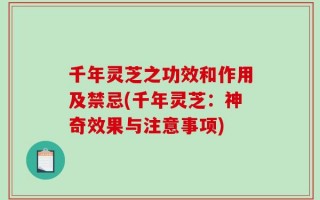 千年灵芝之功效和作用及禁忌(千年灵芝：神奇效果与注意事项)