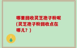 哪里回收灵芝孢子粉呢(灵芝孢子粉回收点在哪儿？)