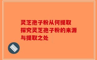 灵芝孢子粉从何提取 探究灵芝孢子粉的来源与提取之处