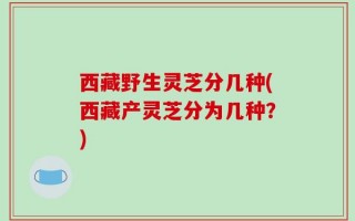 西藏野生灵芝分几种(西藏产灵芝分为几种？)