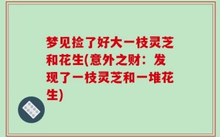 梦见捡了好大一枝灵芝和花生(意外之财：发现了一枝灵芝和一堆花生)