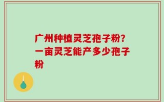 广州种植灵芝孢子粉？一亩灵芝能产多少孢子粉