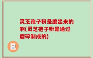 灵芝孢子粉是磨出来的啊(灵芝孢子粉是通过磨碎制成的)