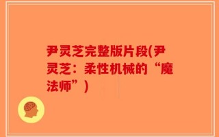 尹灵芝完整版片段(尹灵芝：柔性机械的“魔法师”)