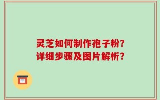 灵芝如何制作孢子粉？详细步骤及图片解析？