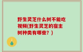 野生灵芝什么树不能吃视频(野生灵芝的宿主树种类有哪些？)