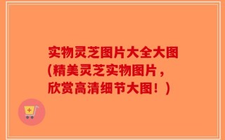 实物灵芝图片大全大图(精美灵芝实物图片，欣赏高清细节大图！)