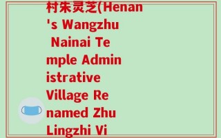 河南省王朱乃乃庙行政村朱灵芝(Henan's Wangzhu Nainai Temple Administrative Village Renamed Zhu Lingzhi Village)