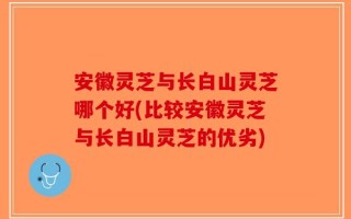 安徽灵芝与长白山灵芝哪个好(比较安徽灵芝与长白山灵芝的优劣)