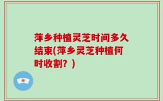 萍乡种植灵芝时间多久结束(萍乡灵芝种植何时收割？)