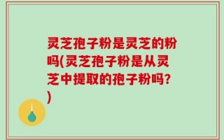 灵芝孢子粉是灵芝的粉吗(灵芝孢子粉是从灵芝中提取的孢子粉吗？)