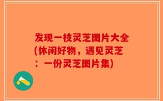 发现一枝灵芝图片大全(休闲好物，遇见灵芝：一份灵芝图片集)