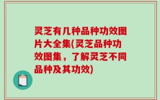 灵芝有几种品种功效图片大全集(灵芝品种功效图集，了解灵芝不同品种及其功效)