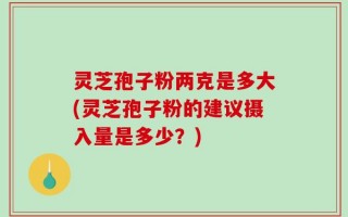 灵芝孢子粉两克是多大(灵芝孢子粉的建议摄入量是多少？)