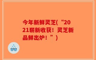 今年新鲜灵芝(“2021崭新收获！灵芝新品鲜出炉！”)