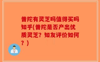 普陀有灵芝吗值得买吗知乎(普陀是否产出优质灵芝？知友评价如何？)