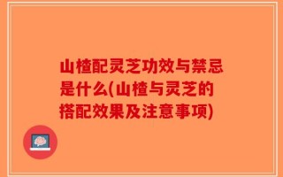 山楂配灵芝功效与禁忌是什么(山楂与灵芝的搭配效果及注意事项)