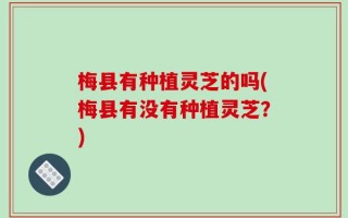 梅县有种植灵芝的吗(梅县有没有种植灵芝？)