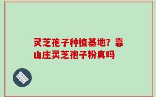 灵芝孢子种植基地？靠山庄灵芝孢子粉真吗