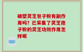 破壁灵芝包子粉有副作用吗？已采集了灵芝孢子粉的灵芝功效作用怎样呢