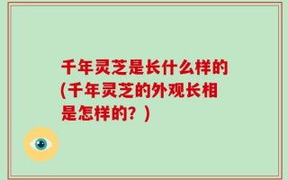 千年灵芝是长什么样的(千年灵芝的外观长相是怎样的？)