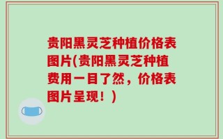 贵阳黑灵芝种植价格表图片(贵阳黑灵芝种植费用一目了然，价格表图片呈现！)