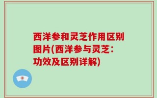 西洋参和灵芝作用区别图片(西洋参与灵芝：功效及区别详解)